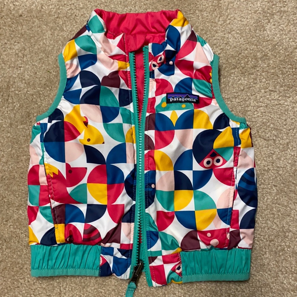 Reversible Patagonia Vest